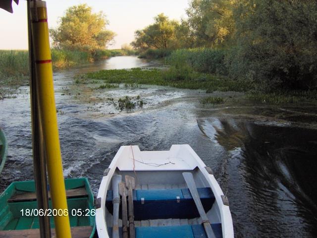 delta rosu 2006 - im000200.JPG